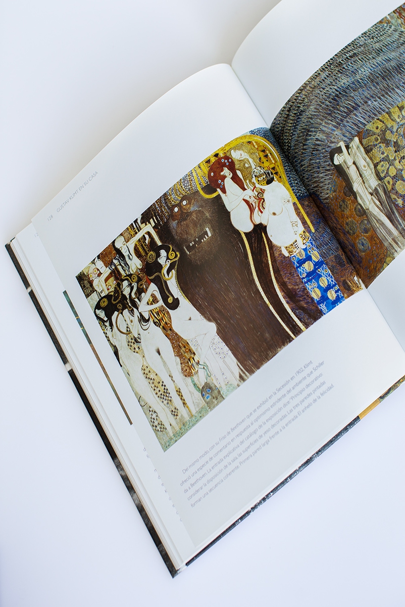 LIBRO GUSTAV KLIMT